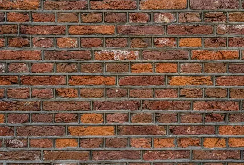 Snijvoeg knipvoeg verschil in professioneel voegwerk renovatie