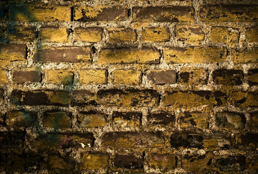 Groene aanslag op witte muur verwijderen door professionele gevelreiniging